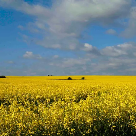 Nur Wenige Gehminuten Zum Zentrum Und 17 - Sellin (Rugen)