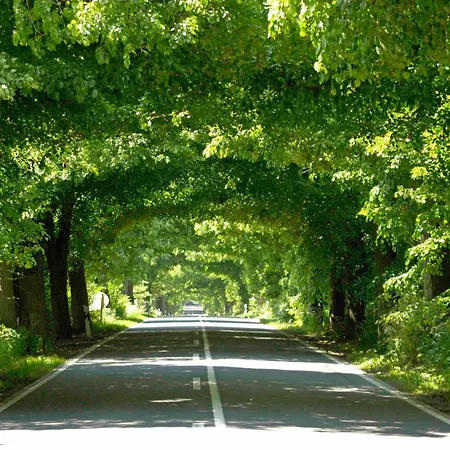 Nur Wenige Gehminuten Zum Zentrum Und 17 - Lejlighed *