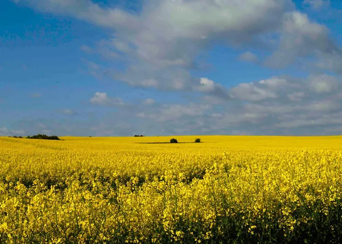Nur Wenige Gehminuten Zum Zentrum Und 17 - Sellin (Rugen)