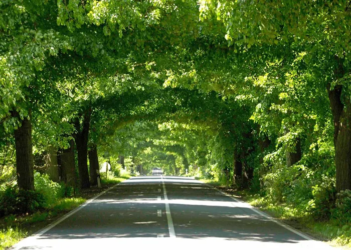 Nur Wenige Gehminuten Zum Zentrum Und 17 - דירה *